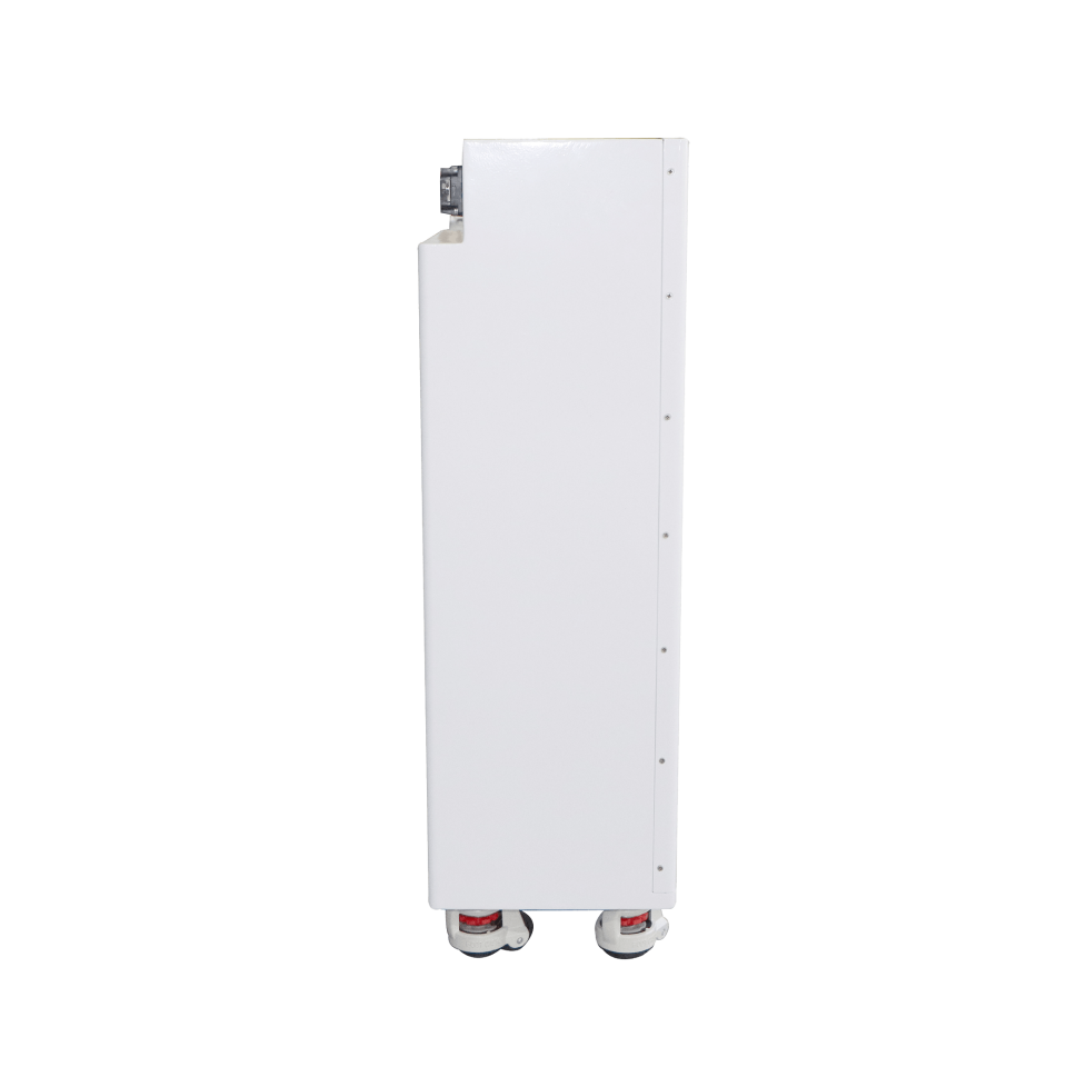 Apex 51.2V 100Ah Lityum (LiFePO4) Batarya